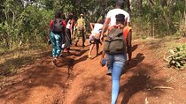 Ngare Ndare Forest
