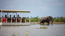 A Day Trip To Selous Fly From Zanzibar