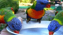 Rockland Bird Sanctuary Private Tour 