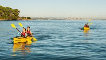 Motukorea / Browns Island Sea Kayak Journey