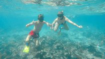 Catalina Island - Full Day All Inclusive Experience 