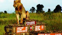 Nairobi National Park,Karen Blixen & Bomas Cultural Dance Show