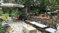 Wine Tour - Kefalonia