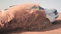 Desert Safari – Morning, Afternoon, Sunrise & Sunset Options