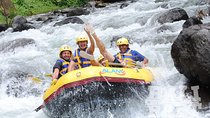 Combination Heaven Gate, Rafting, & Swing All Includes
