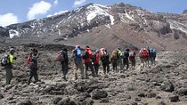 6 Days 5 Night Machame Climbing Route 