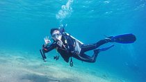 Scuba Diving Boat Trip 2 Stops Diving for bigenners and Lunch – Marsa Alam