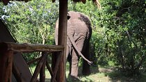 10 Day Western Uganda Budget Wildlife Safari