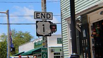 Small-group private Key West tour with expert guide