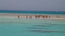 Ras Mohamed by Bus from Sharm elsheikh