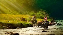 Mai Chau Village - Pu Luong Nature Reserve 3-Day Tour
