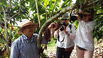 Chocolate Tour and tropical Fruits