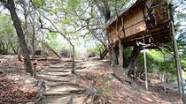 3 Day Lodge/Treehouse Kruger National Park Safari