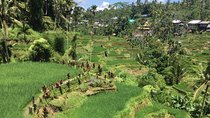 Balinese Life Style Tour
