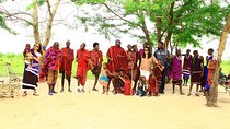 Mikumi National Park(3Days)