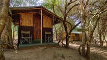 3 Day Budget Tent Kruger National Park Safari