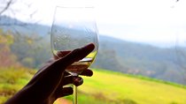 Cape Winelands and Wine Tasting Full Day Tour