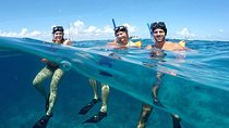Caribbean Sea and the Underwater Museum Snorkeling