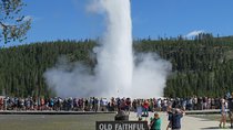 Yellowstone National Park - PRIVATE Full-Day Lower Loop Tour from Jackson Hole