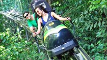 Jamaica Bobsled Adventure (Mystic Silver) Tour from Montego Bay