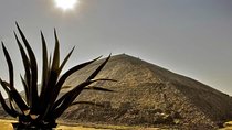 Tour to the Pyramids of Teotihuacán and Basilica of Guadalupe