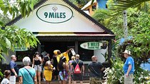 Day Trip to Bob Marley's Nine Mile and Dunn's River Falls from Falmouth