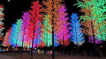 I-City Night Tour