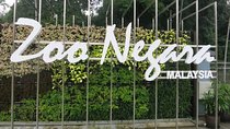 National Zoo with Giant Panda