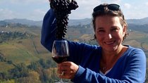 Bordeaux Médoc Region Private Wine Lovers Tour with Chateau Visits & Tastings