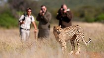 Taste of Namibia Safari - 8 Days