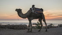 Essaouira Small Peaceful Romantic and Traditional Town