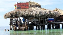 YS Falls, Black River Safari, and Floyd's Pelican Bar Day-Trip (Transportation)