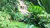 Private Konoko Falls and Dunn's River Combo Tour from Ocho Rios