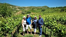 Winetasting tour in Alpeta winery - Roshnik village by 1001 Albanian Adventures