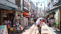 Yanaka Historical Walking Tour in Tokyo's Old Town