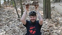 Cu Chi Tunnels Half A Day Trip | Private Tour