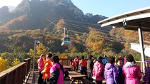 Eastern South Korea 7days 6nights