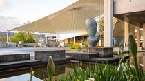 Discover Art at the University of St. Gallen with a Student