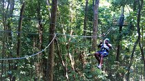 Canopy Zipline & Dunn's River Falls Adventure Tour from Runaway Bay