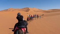 4 Days trip from FEZ to MARRAKECH, spending a night in MERZOUGA and TODRA GORGES