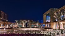 Private Visit to Mall Misr