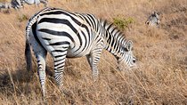 Nairobi Park/elephant Orphanage/girafe Centre/lunch/mamba Village/bomas Of Kenya