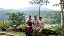 Balinese Village, temples, and sightseeing tour