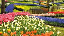 Private Keukenhof & Delft Guided Tour from Brussels Full-Day 