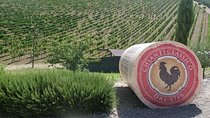 Essence of Chianti Small Group Tour with Lunch and Tastings from Florence