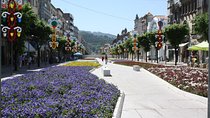 Private tour to Ponte de Lima, Vinho Verde region