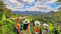 Private Coffee Farm Tour in Medellin: Real Authentic Experience 