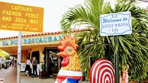 Private Miami City Tour and Shared Boat Tour Combo