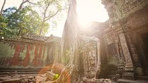 Temple and Culture