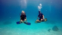 Try Scuba Diving